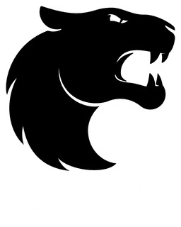 FURIA